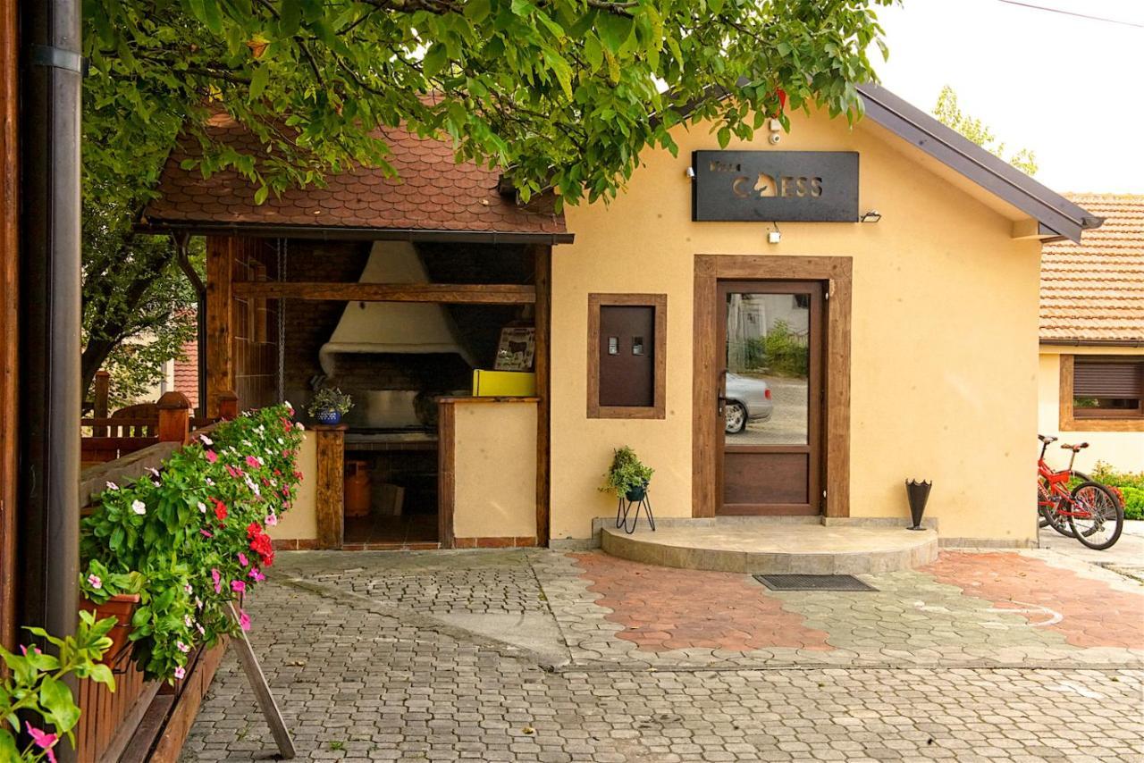 Vila Chess Belgrad Dış mekan fotoğraf