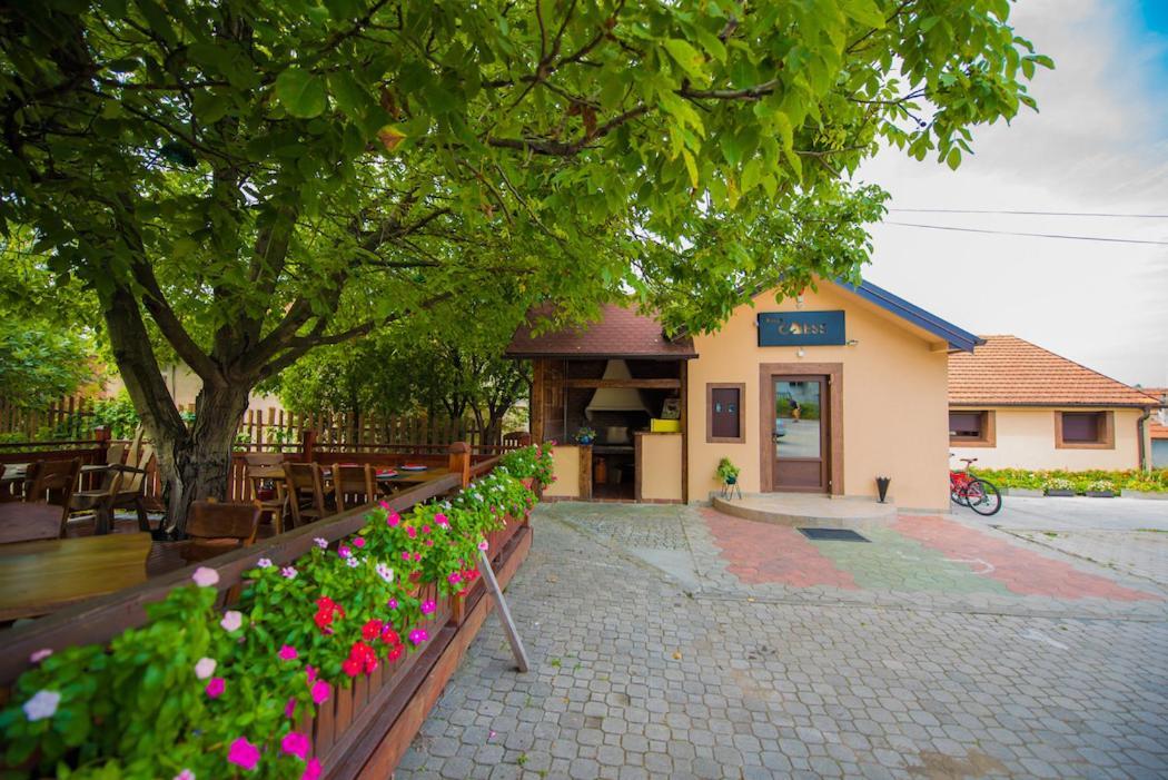 Vila Chess Belgrad Dış mekan fotoğraf